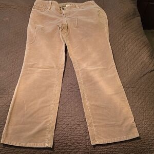 Tan Velour Pants